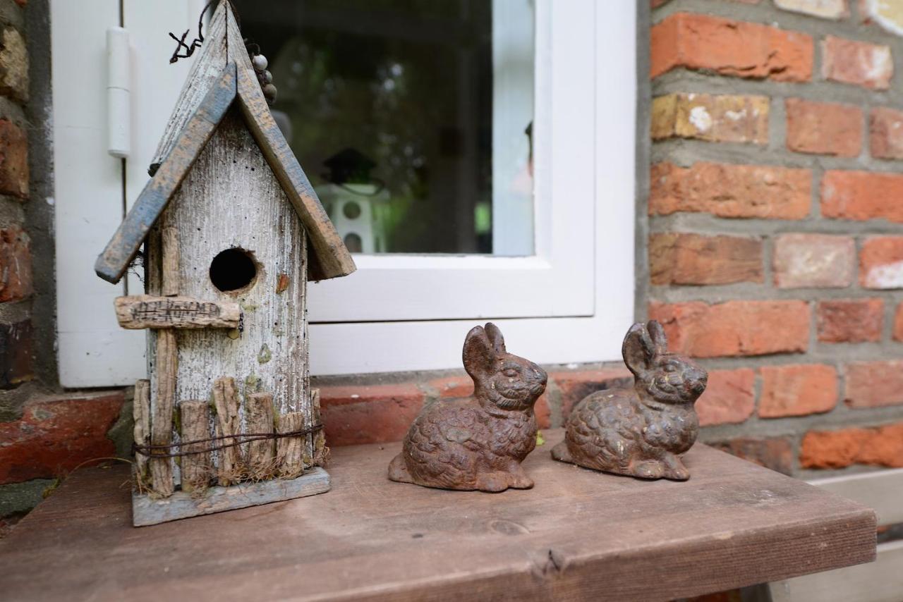 Apartmán Hus In'T Dorp Oevenum Exteriér fotografie